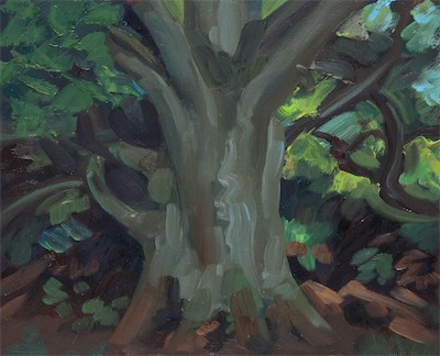 Oak; oil on board, 24 x 30 cm, 2023
